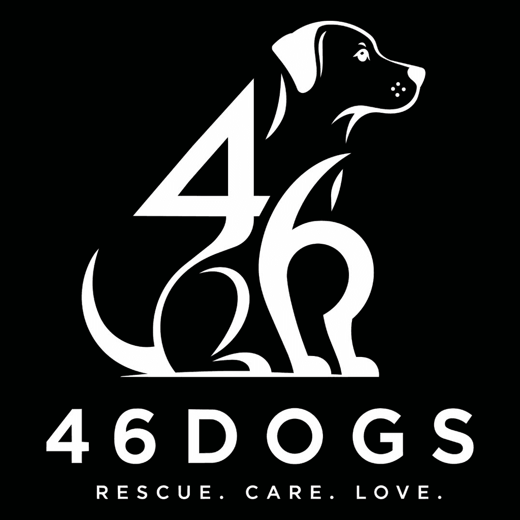 46 Dogs logo — a sitting dog formed from the numerals 4 and 6, above the wordmark 46DOGS and the tagline Rescue. Care. Love.